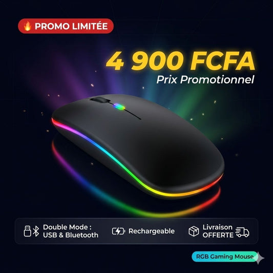 SOURIS RECHARGEABLE_USB ET BLUETOOTH