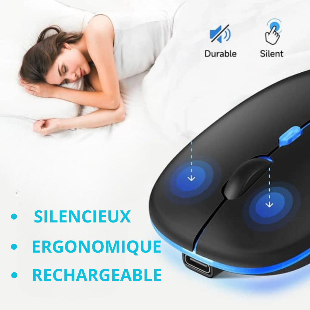 SOURIS RECHARGEABLE_USB ET BLUETOOTH
