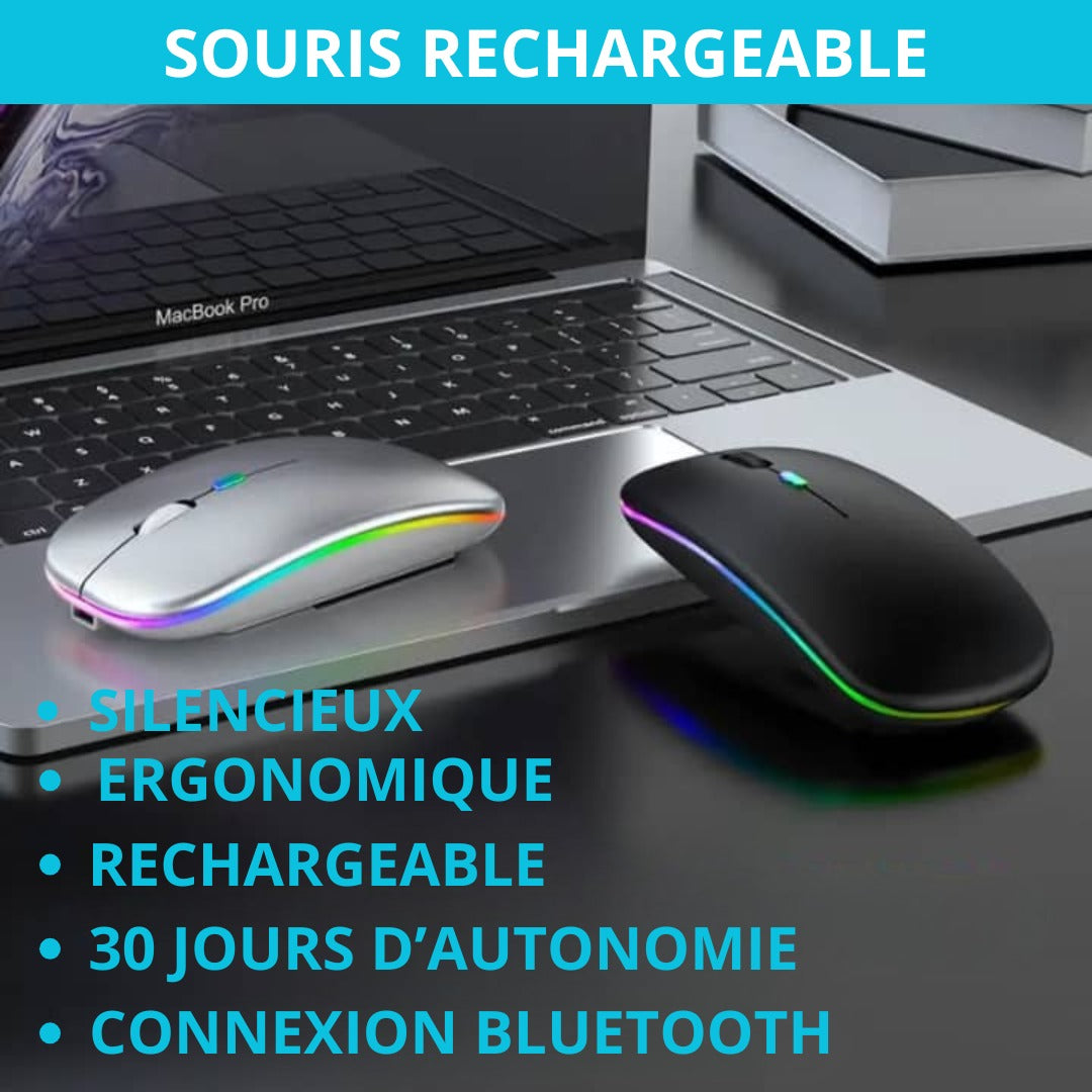 SOURIS RECHARGEABLE_USB ET BLUETOOTH