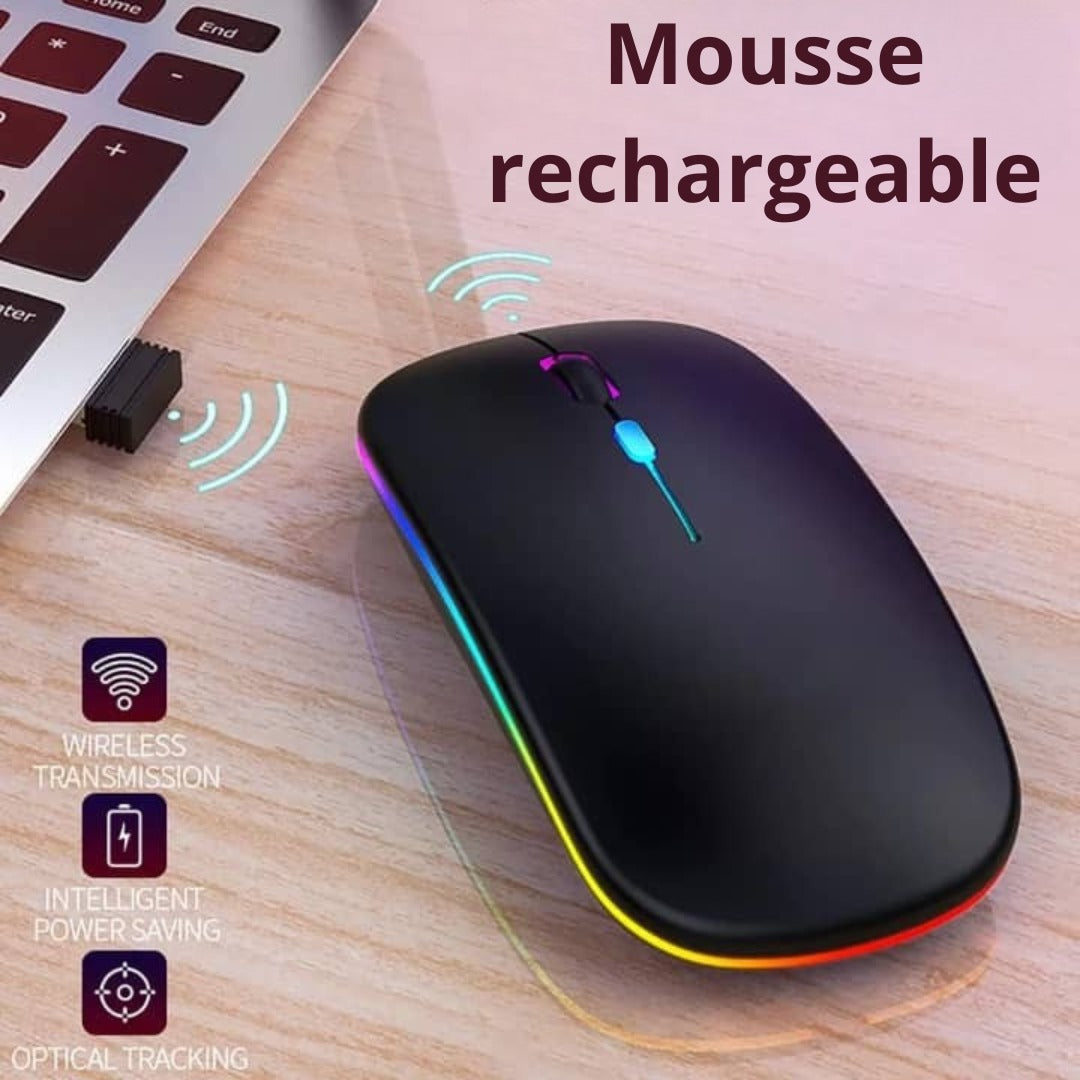 SOURIS RECHARGEABLE_USB ET BLUETOOTH